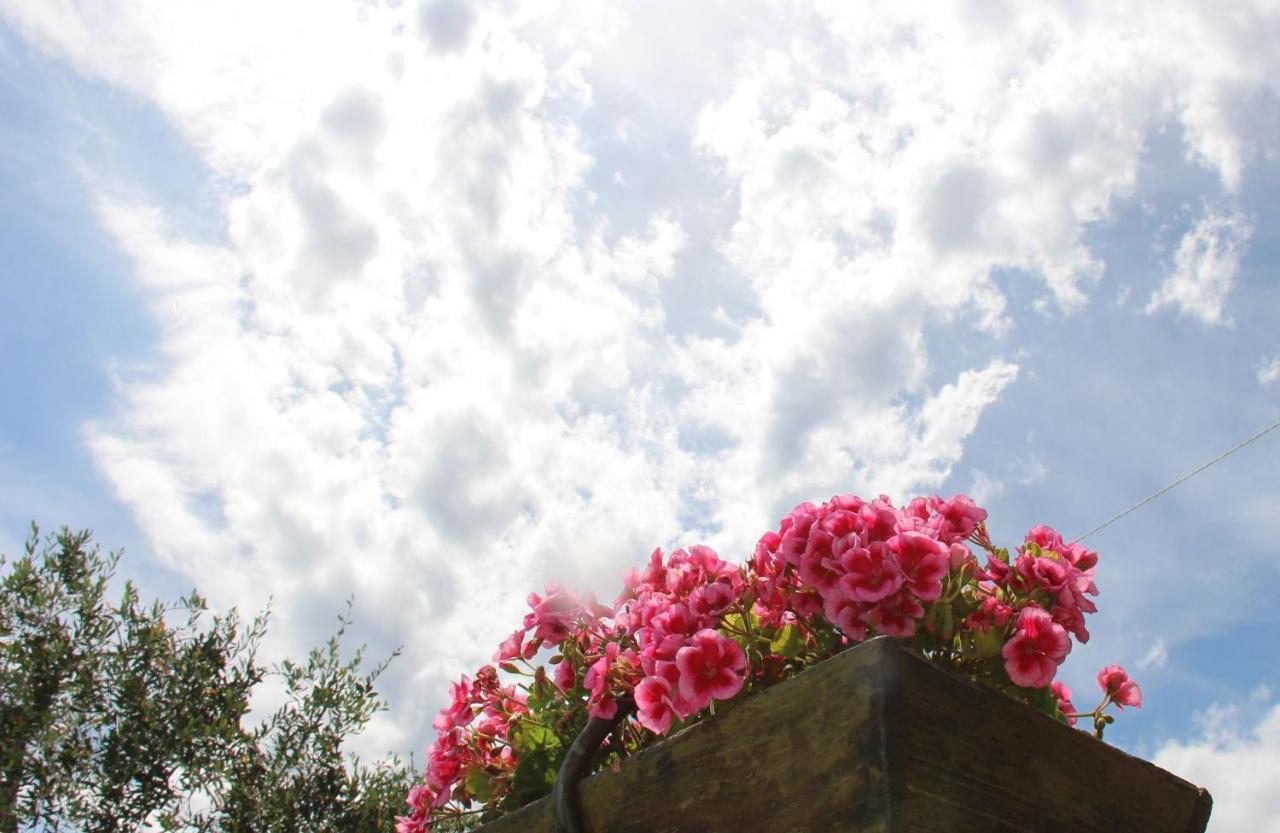 לינה וארוחת בוקר אימפריה Il Sole Di Poggi מראה חיצוני תמונה