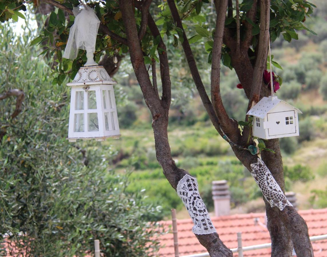לינה וארוחת בוקר אימפריה Il Sole Di Poggi מראה חיצוני תמונה